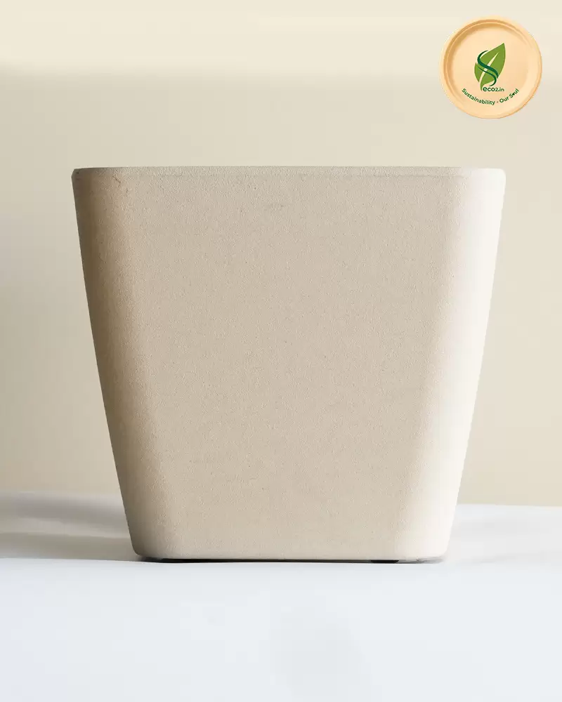 Eco Royal Daisy Planter - Image 5